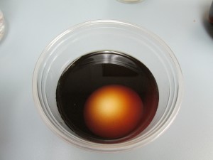 Egg-Teeth Experiment 3